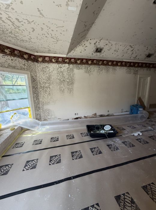 Negative Air Mold Remediation by Phoenix Flood and Fire in Plano TX