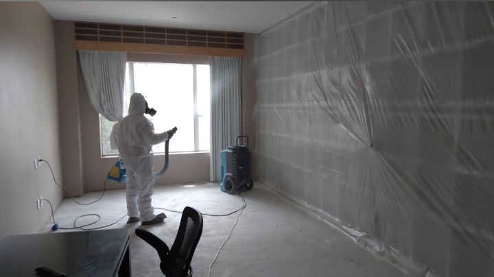 Mold Remediation by Phoenix Flood and Fire in Plano TX