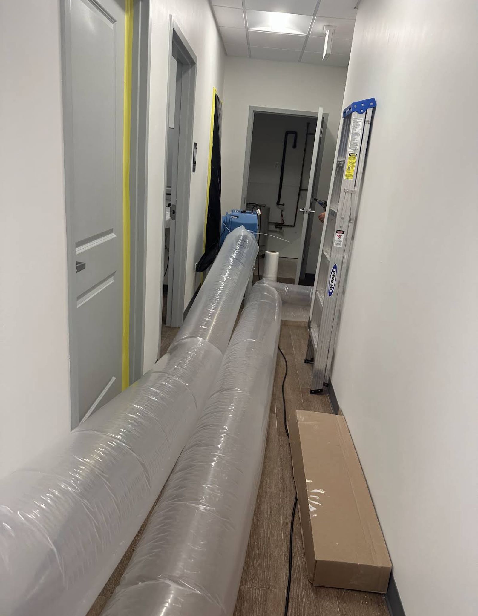 Mold Remediation by Phoenix Flood and Fire in Plano TX