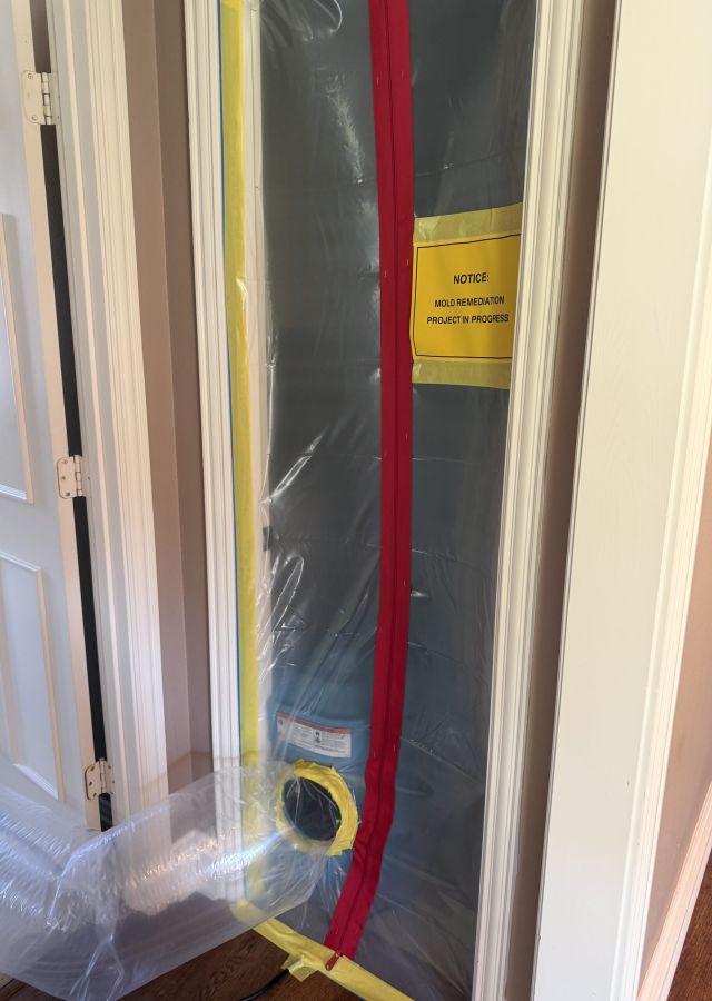 Mold Remediation by Phoenix flood and Fire in Plano TX