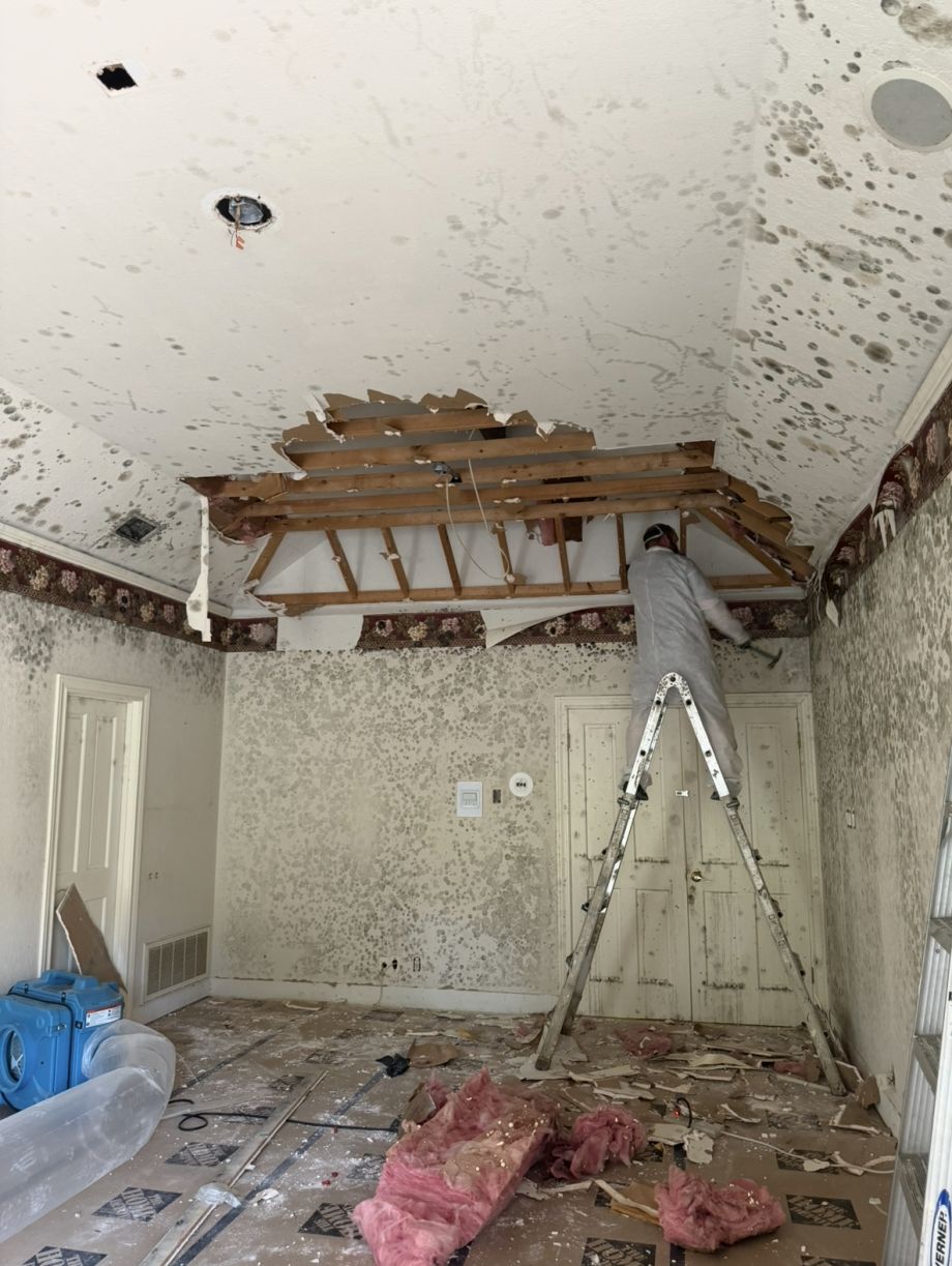 Mold Remediation and removal of affected materials by Phoenix Flood and Fire in Plano Tx